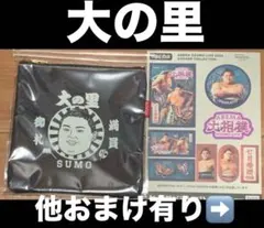 大相撲 ★ 大の里 ★ 日本相撲協会承認ポーチ ＆ABEMAシール ＆ 他おまけ