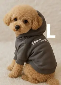 新品 Lサイズ　犬服 パーカー フード付き 小型犬 おしゃれ 韓国風