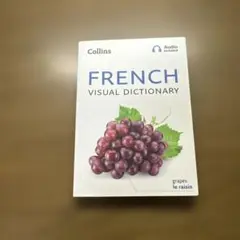 French Visual Dictionary