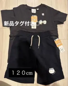 【廃盤レア品◎】ちいかわ GU コラボ Tシャツ ハーフパンツ 120cmのサムネイル