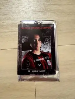 北海道コンサドーレ札幌　田中宏武　クリアアクリルキーホルダー