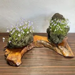 2026年最新】生け花花台の人気アイテム - メルカリ
