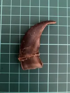 熊爪アクセサリー