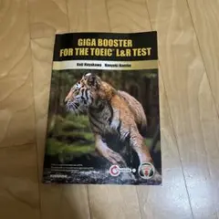 GIGA BOOSTER FOR THE TOEIC L&R TEST