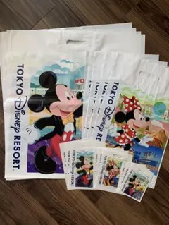 東京ディズニーランド　ショップ袋　ショッパー 17枚セット