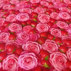 あとりえ M様 リクエスト 2点 まとめ商品