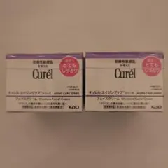 ゆ*ず様 キュレル エイジングケアシリーズ フェイスクリームAb 2個