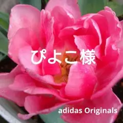 アディブレイクパンツ アディダスオリジナルス adidas Originals