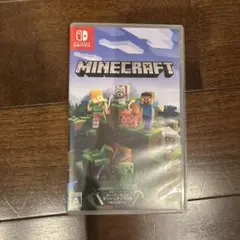 Minecraft Nintendo Switch