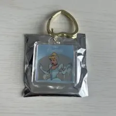 ディズニーストア プリンセス シークレットキーチェーン シンデレラ