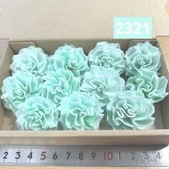 ソラフラワー　2321