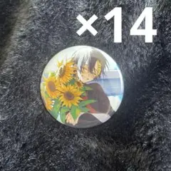 だいきりさんSTPR加入前グッズ　蒼翠リフレクション笑顔ver.缶バッジ　14個