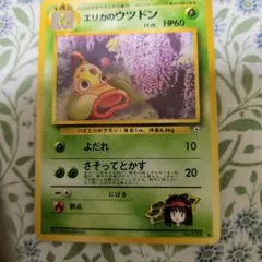 エリカのウツドンLV.26 ◇ ジム拡張第1弾 リーダーズスタジアム - メルカリ