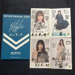 欅坂46 長沢菜々香 セット