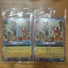 ディズニー・ロルカナ 点と線をつなげ 2枚セット