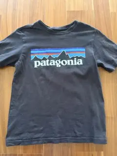 Patagonia TシャツXSのサムネイル