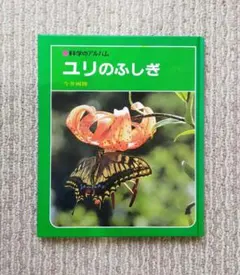 okk11様 リクエスト 2点 まとめ商品