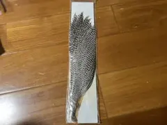 Item thumbnail for item c9297a8e-4880-46f7-aa1f-8f4c55e85033