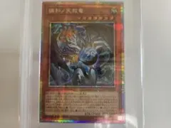 2026年最新】調和の天救竜の人気アイテム - メルカリ