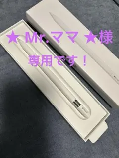 Apple Pencil (USB-C) 純正　アップルペンシル