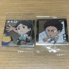 ハイキュー!! ウエハースシール 国見英 岩泉一 2枚セット