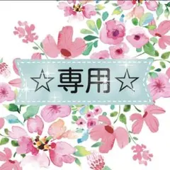 x213131x様 リクエスト 3点 まとめ商品