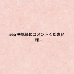 sea ❤︎気軽にコメントください　様　おまとめ