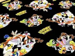 葵空様 リクエスト 2点 まとめ商品