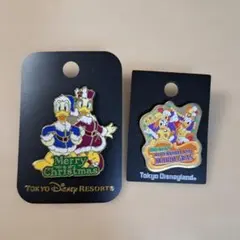 東京ディズニーリゾート ピンバッジセット