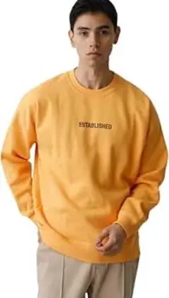 Azul ESTABLISHED PULLOVER