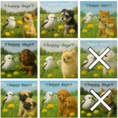 Komugi様『限定パネル』シマエナガと犬