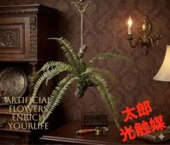 光触媒　人工観葉植物　ウォールグリーンフェイクグリーン　ソードファンハンギングのサムネイル