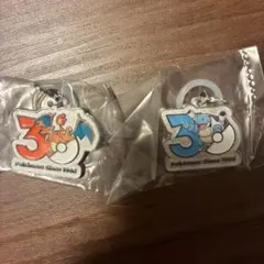 ポケモン30周年 メタルチャームマスコット カメックス　リザードン