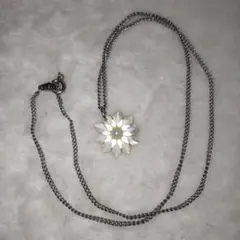 Item thumbnail for item 2c6d8265-8f00-4ee4-ae9a-271bfbb9458a