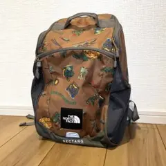 THE NORTH FACE RECTANG リュック