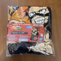 僕のヒーローアカデミア 1番くじ 切島鋭児郎 E賞