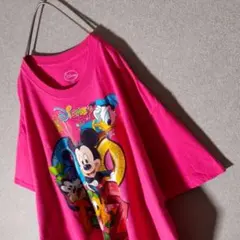 フロリダディズニー Disney Tシャツ ビッグロゴ 2017年 希少XLのサムネイル