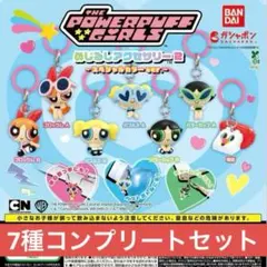 パワパフ めじるしアクセサリー2 コンプリートセット 新品未開封品