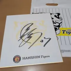 直筆サイン入り 近本光司選手 阪神タイガース シークレット うごく選手