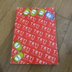 TRY! 日本語能力試験 N2