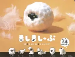 ましましーぷ MASHIMASHEEP 3種セット