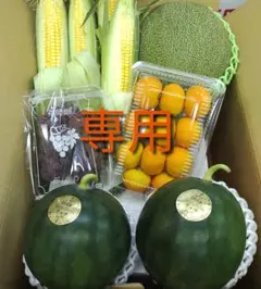 @ ユウジン様専用ページです。