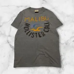 2026年最新】HOLLISTERの人気アイテム - メルカリ