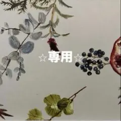 ヒレカツ定食様　専用です♪