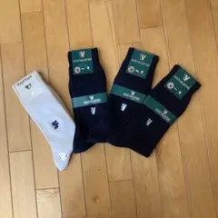 Item thumbnail for item 3be39610-3a14-4517-b1ef-aef677cbb523