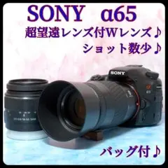 2026年最新】α65 レンズの人気アイテム - メルカリ