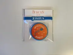 SEVENTEEN BETHESUN JAPAN ジョシュア