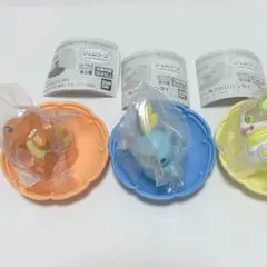 ポケモン ジェムリーズ ヒトカゲ メッソン ワンパチ