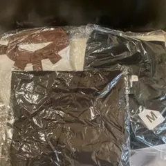 Item thumbnail for item 52718099-a929-48ec-a337-0d1d03f74243