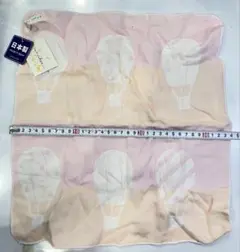 Item thumbnail for item 741c0009-519e-4ea6-9779-a949aa858d06